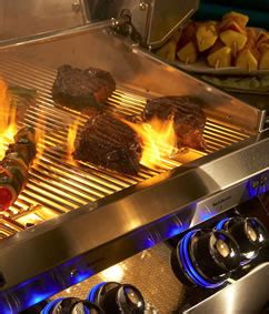 The Fire Magic Grill: An Enigma in Grilling Technology